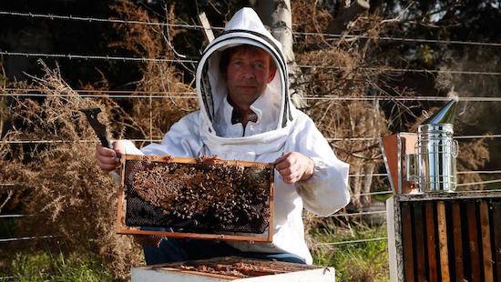 Gippsland apiarist - stop honey bee disease