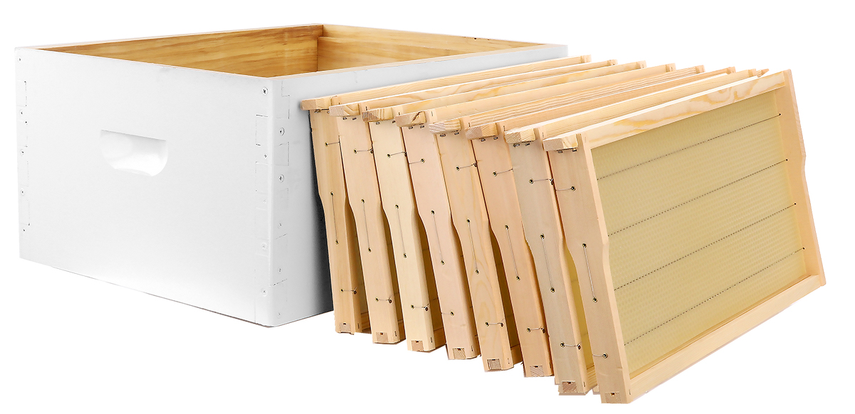 Assembled, Dipped and Painted Box with  Wired & Waxed Heavy Duty Timber Frames - 8 Frame