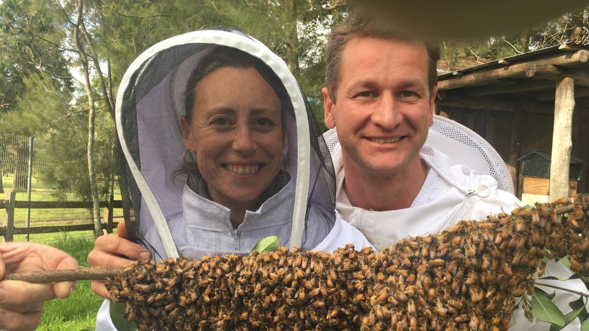 Ana and Sven Martin's campaign to save bees launched on the mid north coast