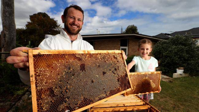 Matt Henderson and daughter Ruby, 6, with their hive at their home in City Beach, Perth. Picture: Colin Murty