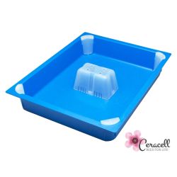 Ceracell Blue Top Feeder for 10 Frame Beehive