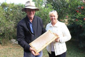 Couple learns beekeeping skills via YouTube, to make honey for their local community